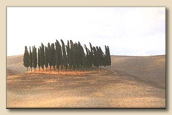 landskap.jpg (12109 Byte)